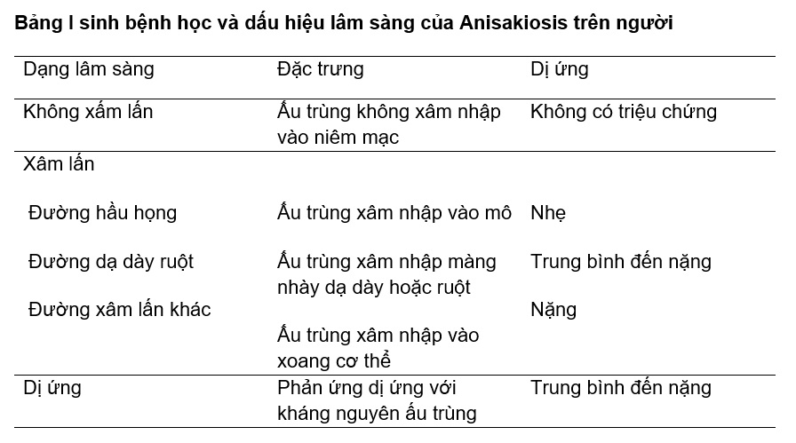 sinh bệnh học và dấu hiệu lâm sàng của Anisakiosis trên người